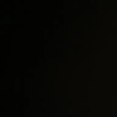 Profile image of 배진솔