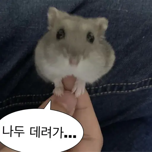 DenseBongo4098의 참지