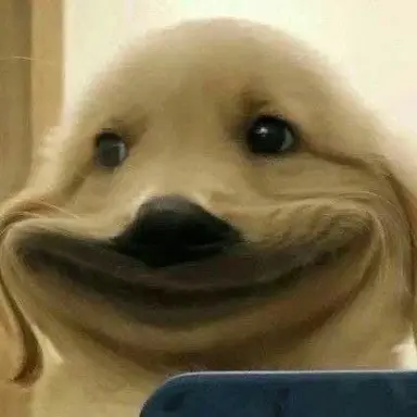Profile image of 폴리