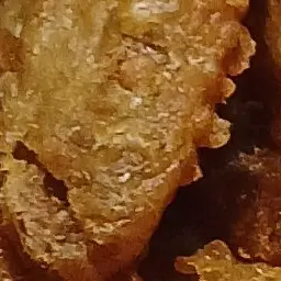 Profile image of 여우