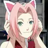 Profile image of Sakura
