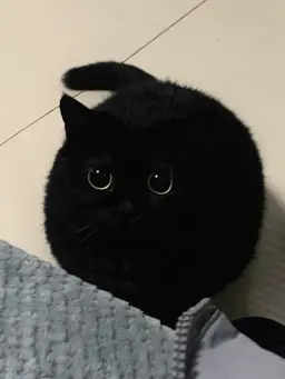 Profile image of 박원빈