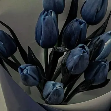 Profile image of 행크