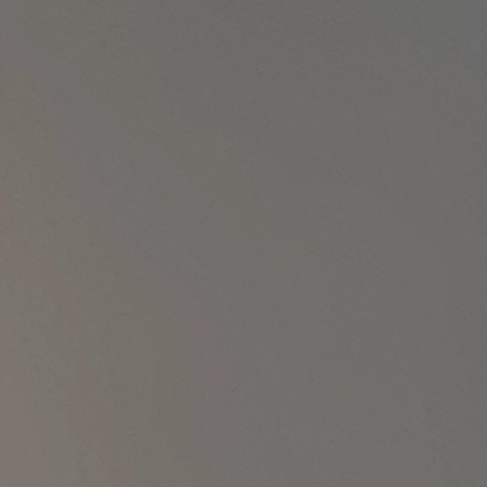 마슐세상에 여우가
