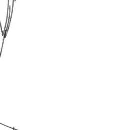 Profile image of 恋花