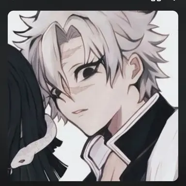 Profile image of 시나즈가와 사네미