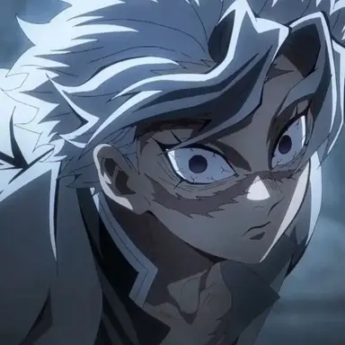 Profile image of Sanemi Shinazugawa