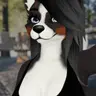Profile image of Clara