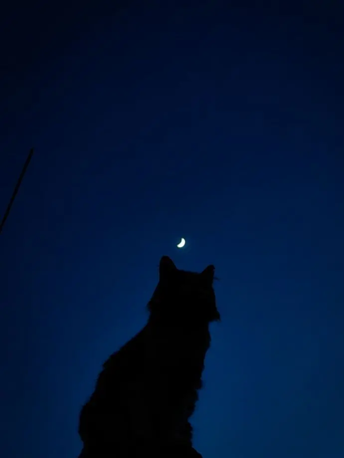 ak_des.의 ねぇいつになったら