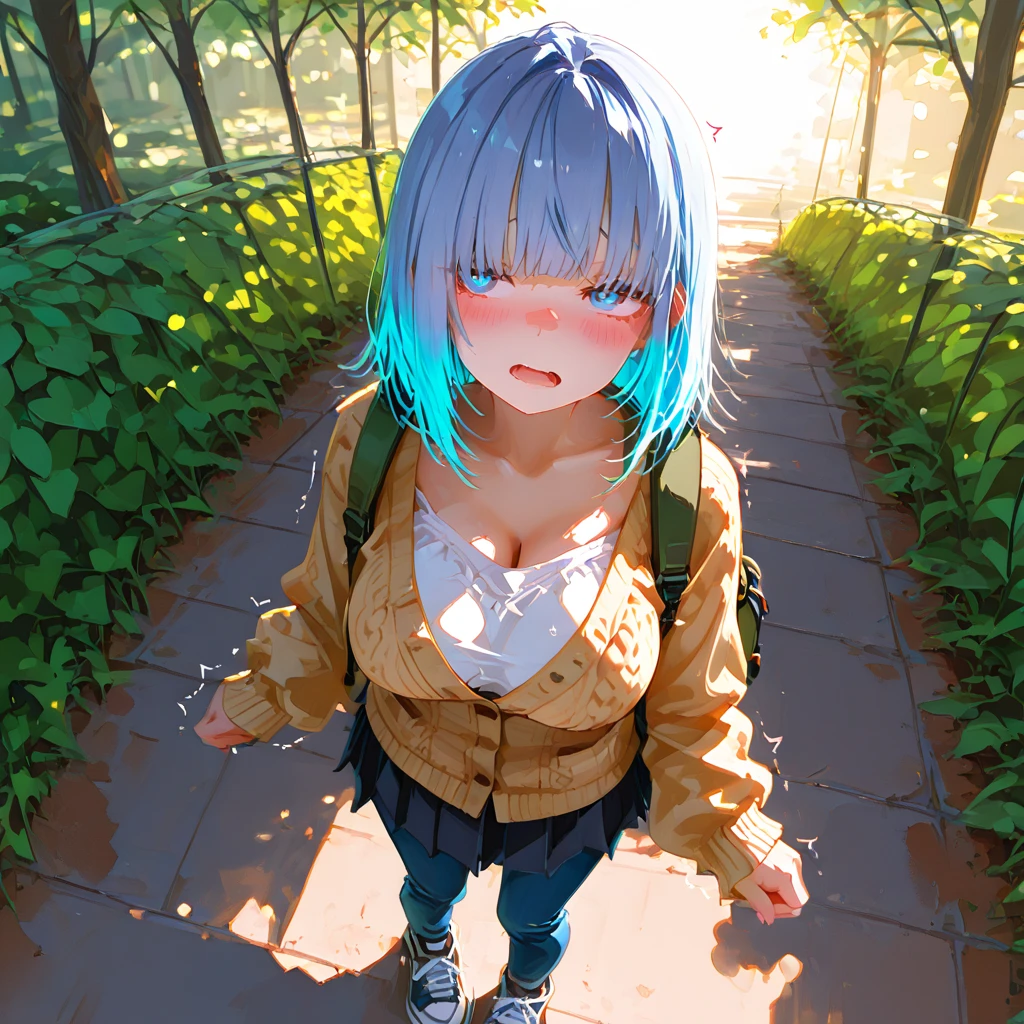 캠퍼스룩