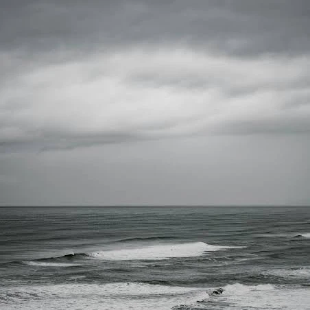 高杉