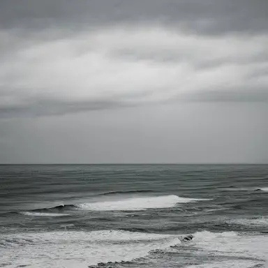 Profile image of 銀時