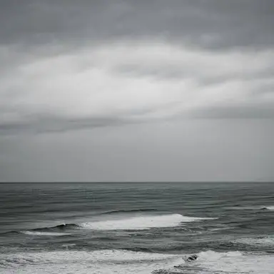 Profile image of 桂