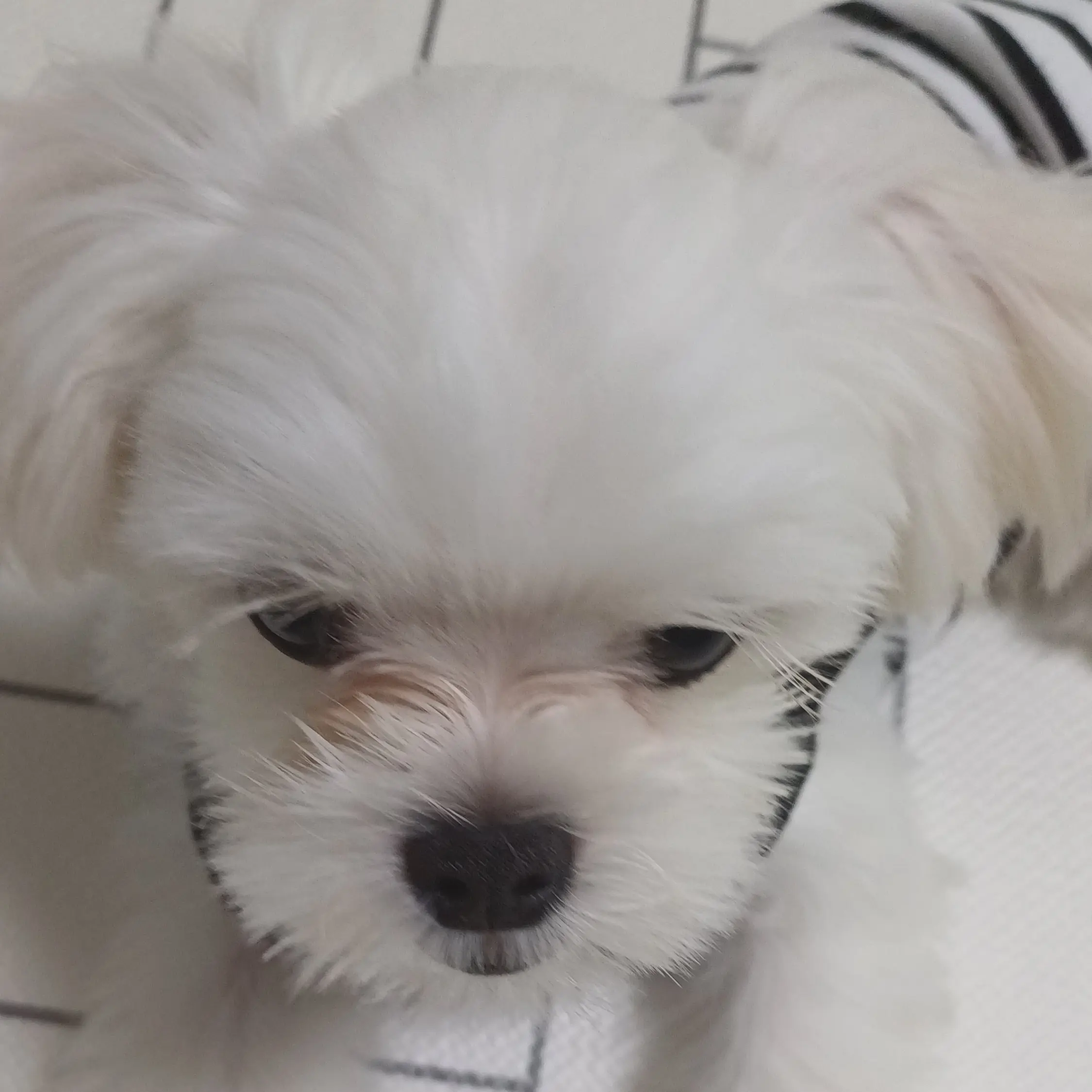_7204의 소꿉친구