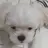 명재현