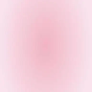 Profile image of 키쿠