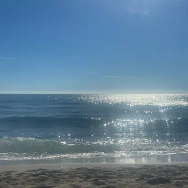 Profile image of 페드로