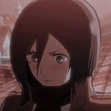 Profile image of ミカサ・アッカーマン