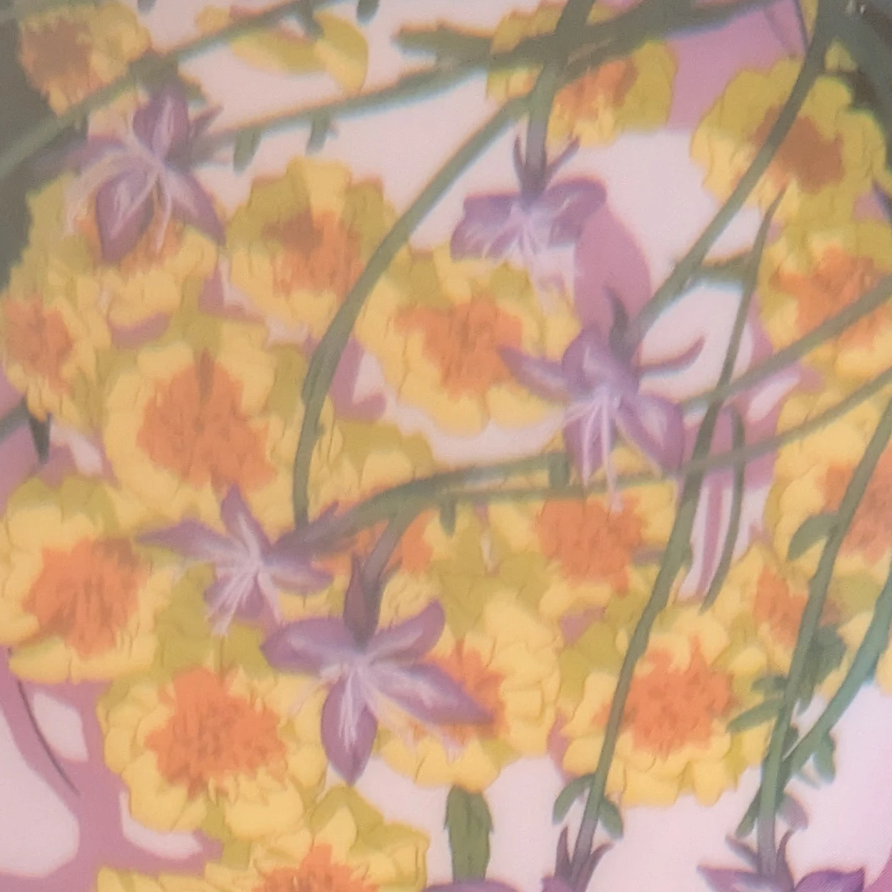 籠芽
