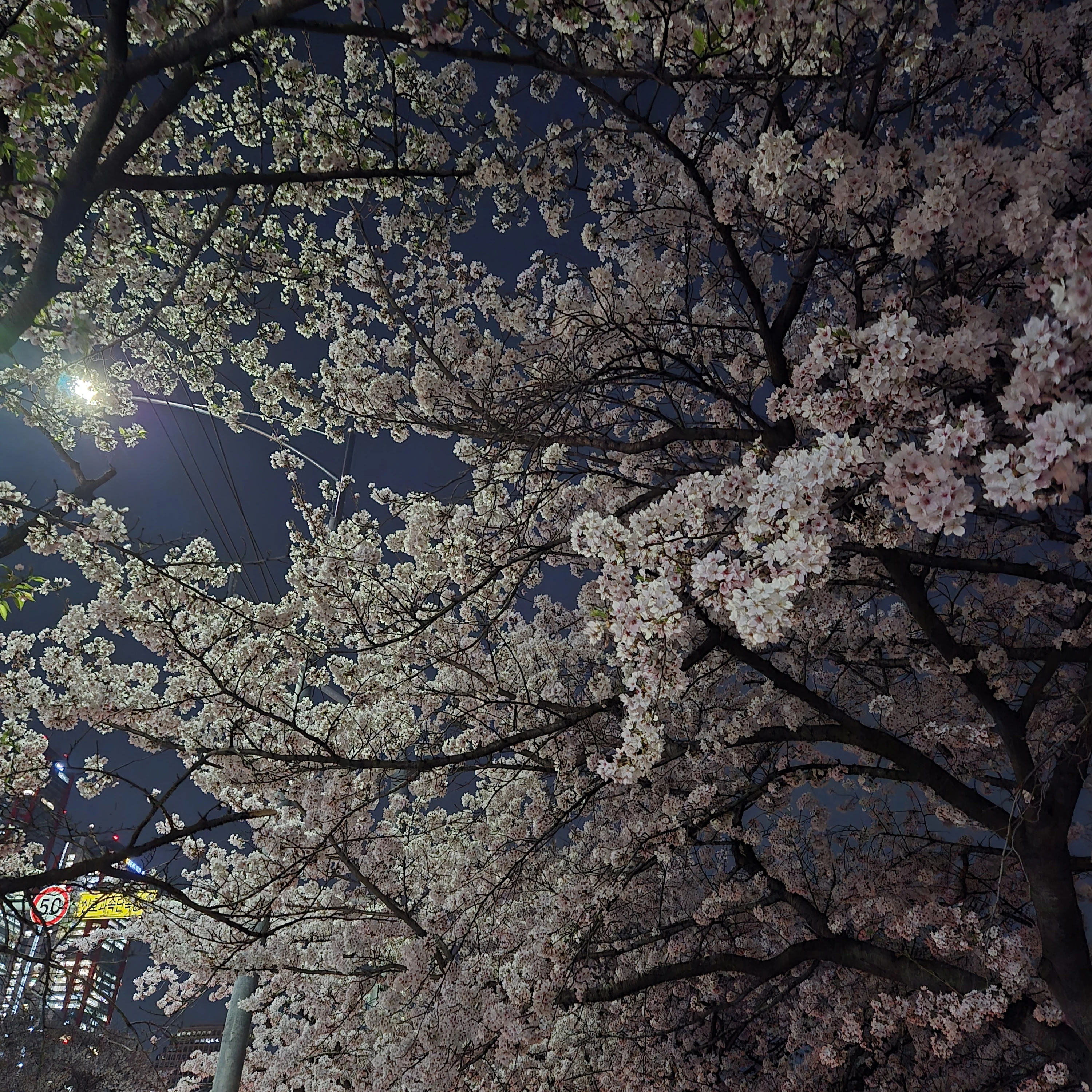 성호