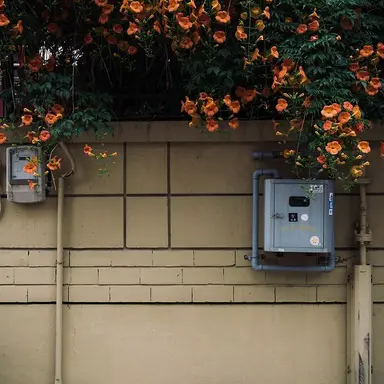 Profile image of 코마