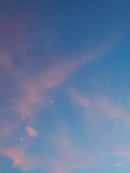 SO-NANOKA-의 色反転芥川