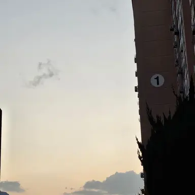 Profile image of 꽥