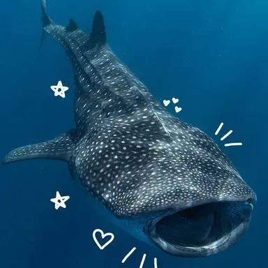 Profile image of 여학생들