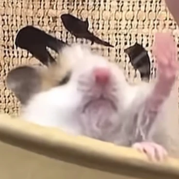 이혁