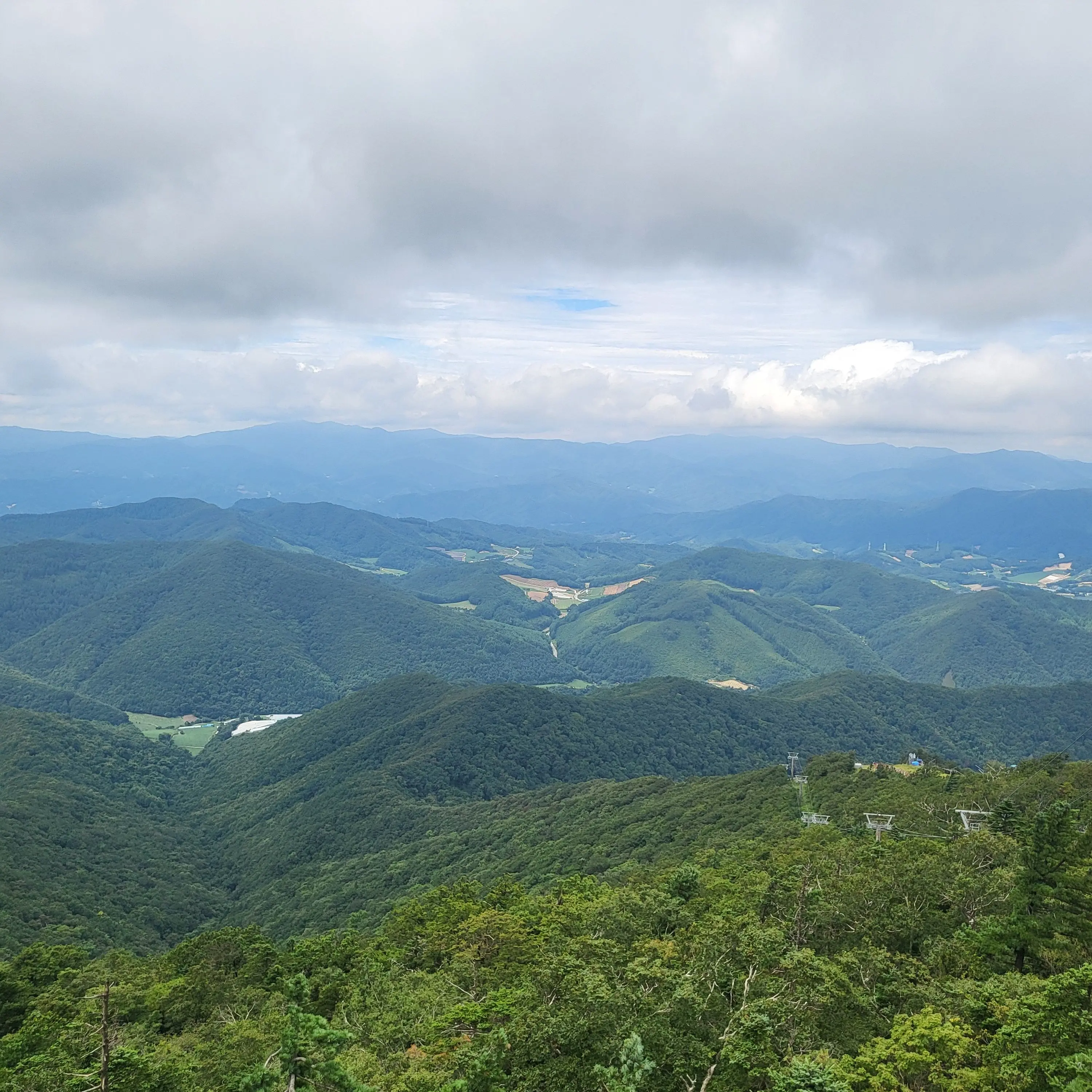 FestalKoala3538의 고등학교