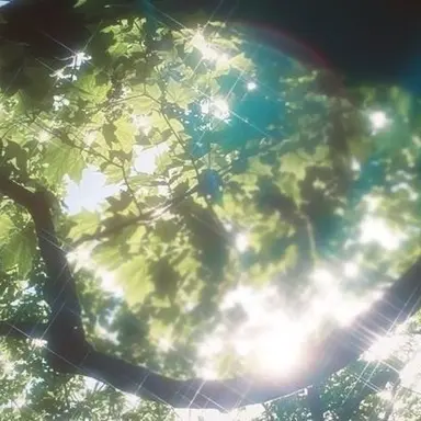 Profile image of 정 공룡