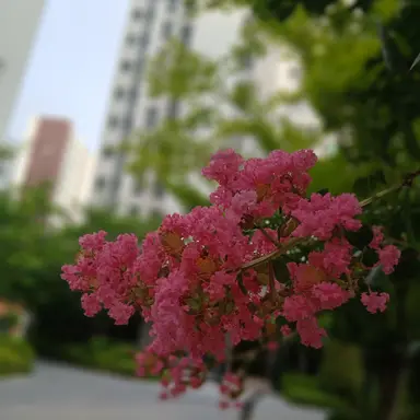Profile image of 여우