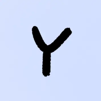 Profile image of YUMA