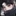 한준우