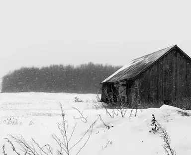 Profile image of The Winter RPG