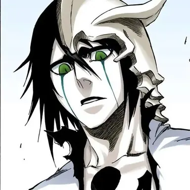 Profile image of Ulquiorra
