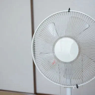 Profile image of 선풍기