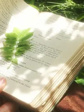 greenapplelove의 알하이탐