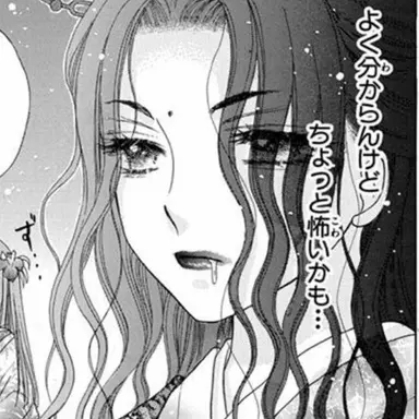 Profile image of 姫宮