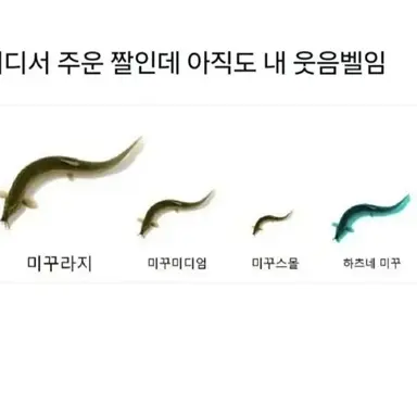 Profile image of 가야