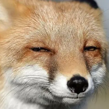 Profile image of 하나에