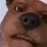 Profile image of Scrappy Doo