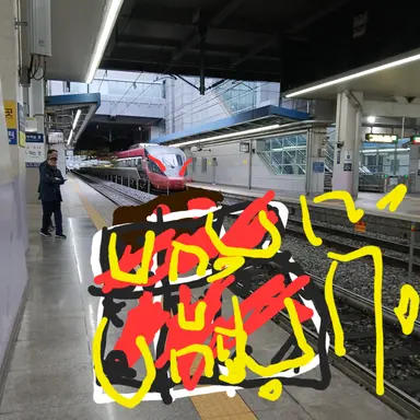 Profile image of KTX청룡