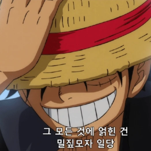 원피스 세계관