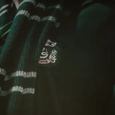 Profile image of 레굴루스