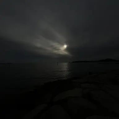 Profile image of 美紅