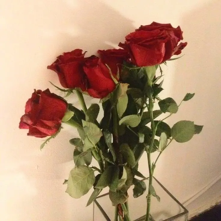 imawa0413의 せんぱい、ふりむいて。