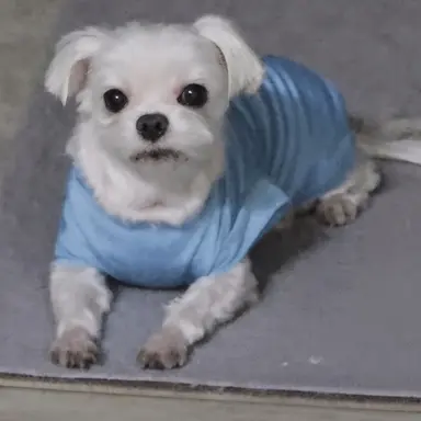 Profile image of 마루