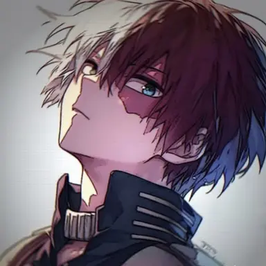 Profile image of Shoto Todoroki