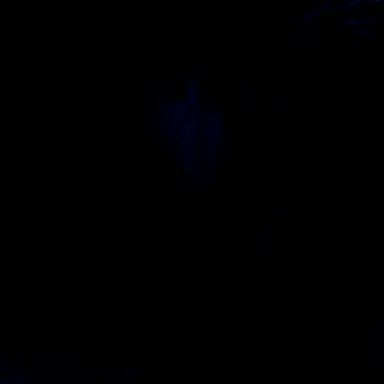 Profile image of Dante Torres